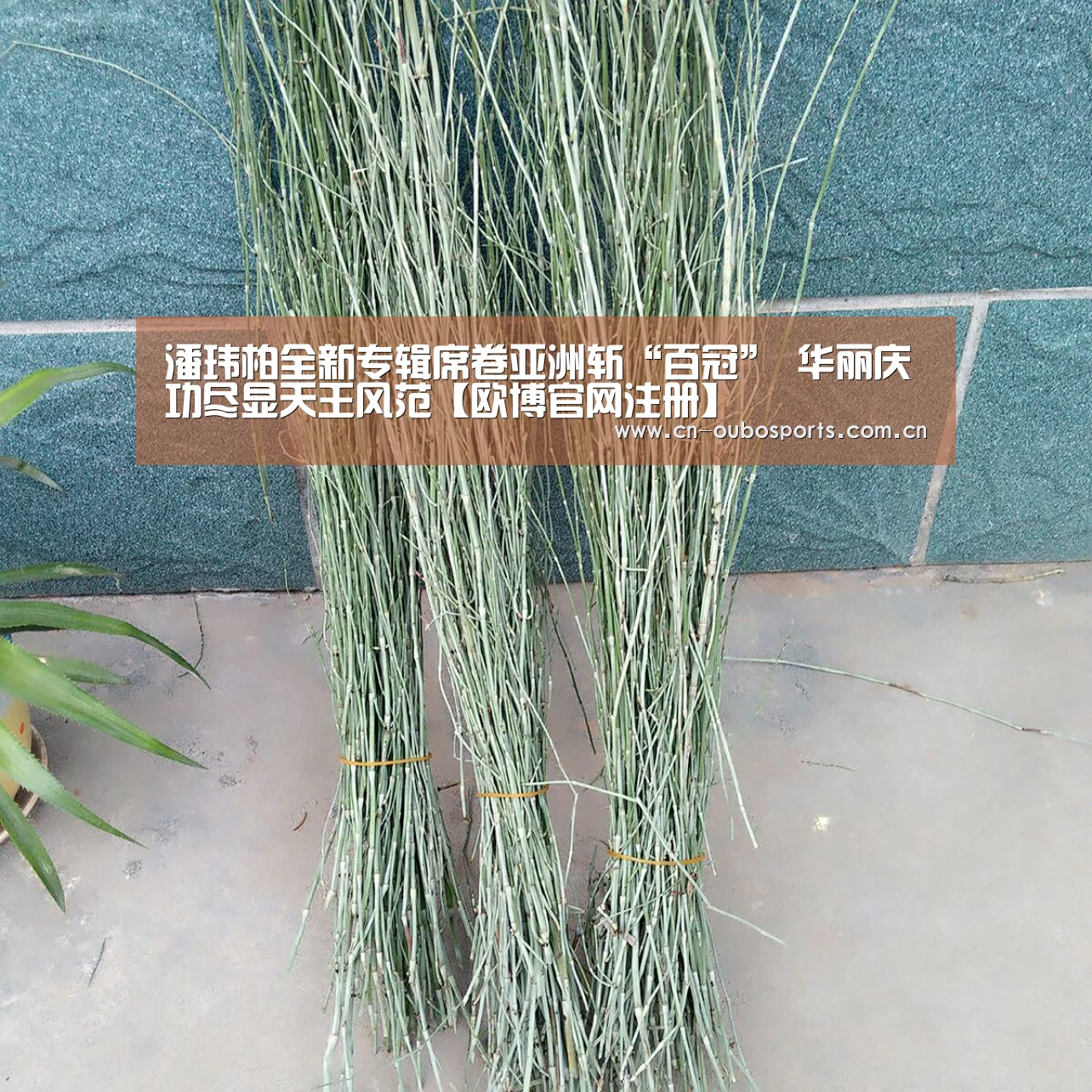 潘玮柏全新专辑席卷亚洲斩“百冠” 华丽庆功尽显天王风范【欧博官网注册】(图1) 欧博官网abg