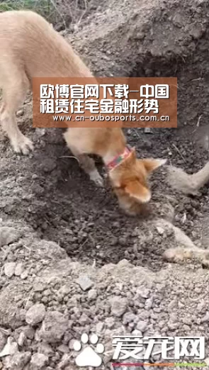 欧博官网下载-中国租赁住宅金融形势系列论坛-南京站圆满落幕(图1) 欧博官网abg